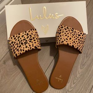 Cheetah slides